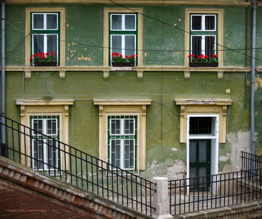 Rumänien - Grüne Hausfassade in Sibiu/Hermannstadt | Juni 2006