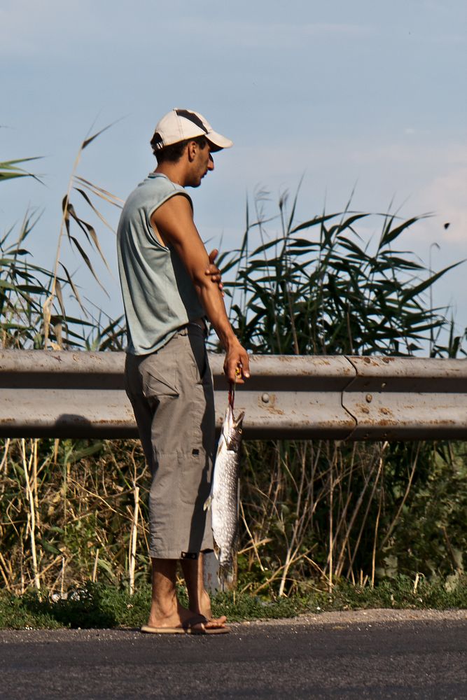 Rumänienrundreise 18 - Fischverkäufer bei Giurgeni