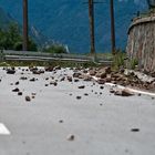 Rumänienrundreise 2 - Strasse entlang der Donau am eisernen Tor