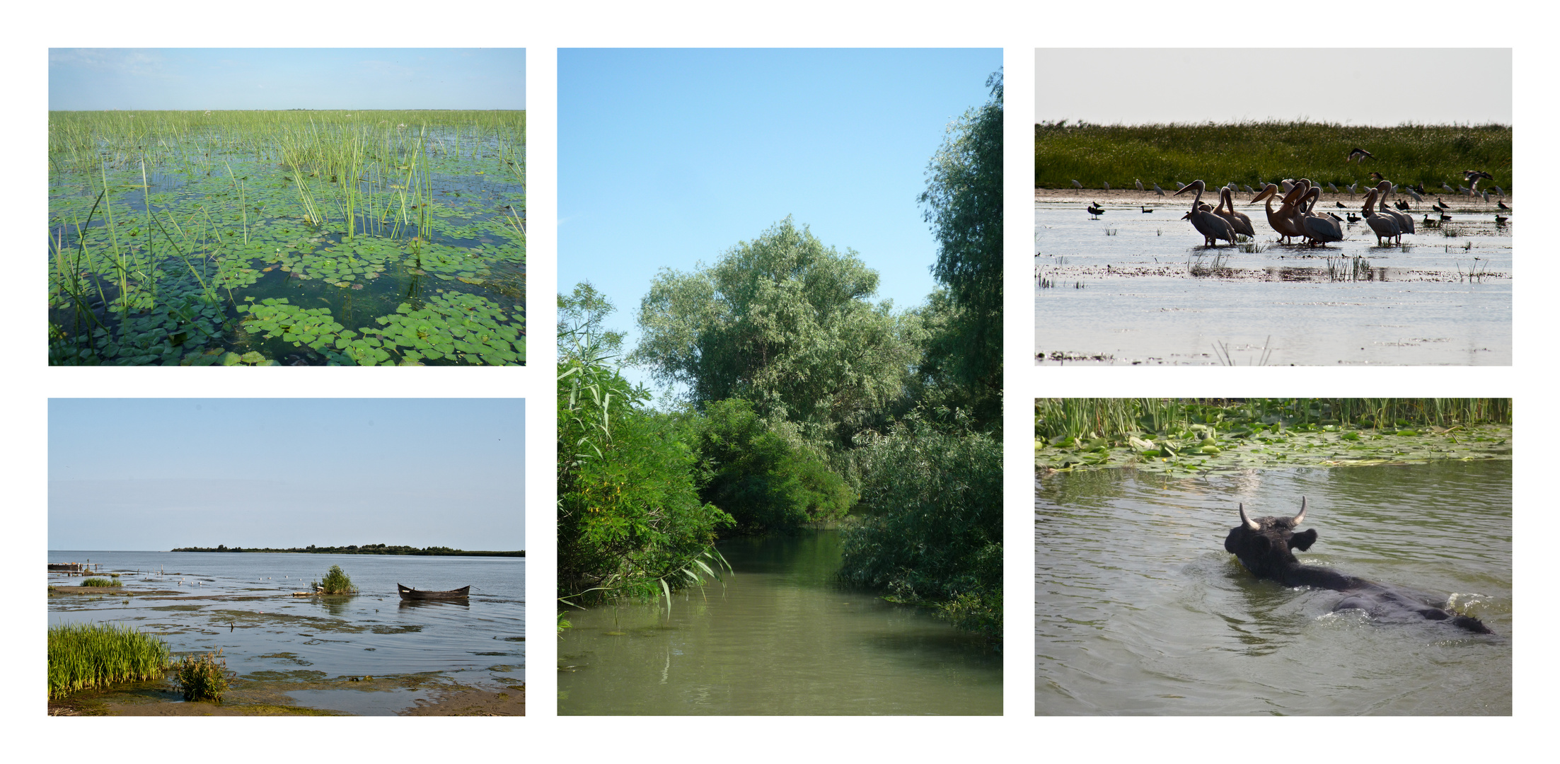 Rumänienrundreise 24 - Naturparadies Donaudelta