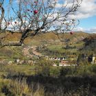 rumänische Landschaft