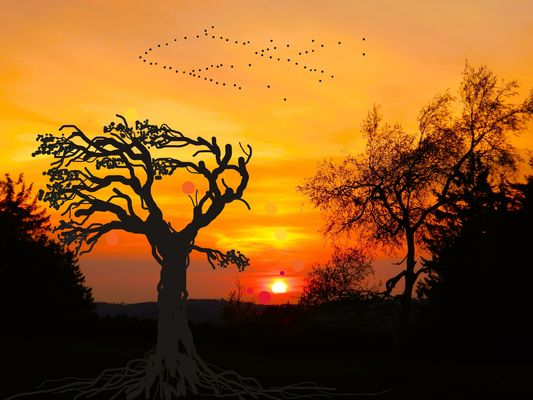 ---| rumgespielt ...