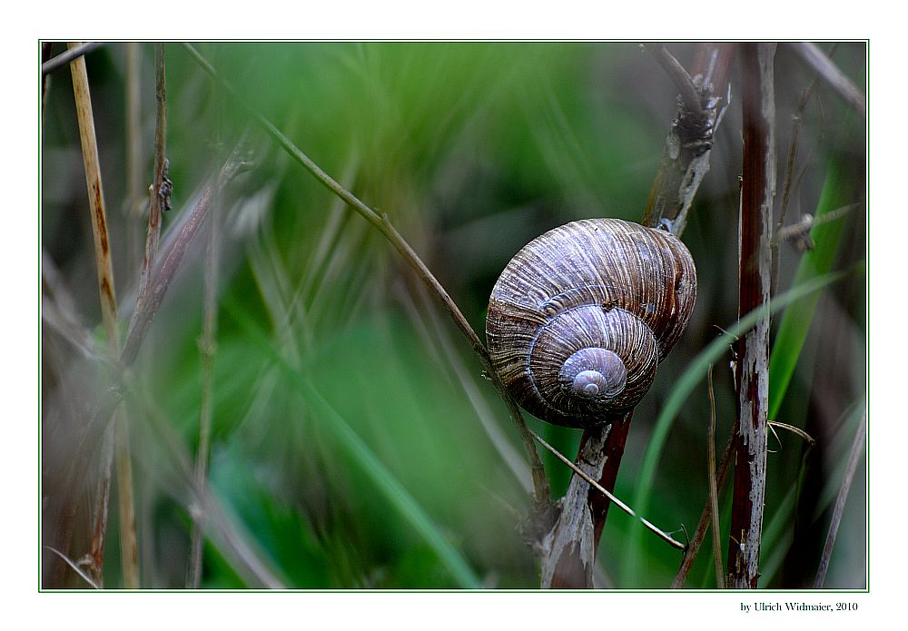 Rumhängen in Farbe