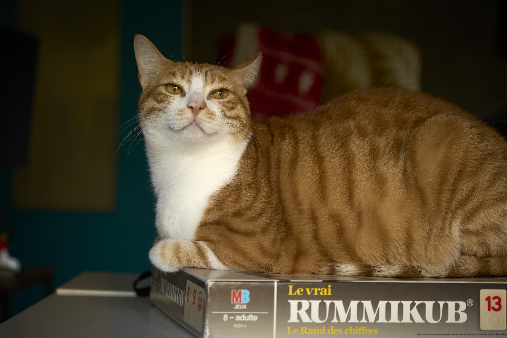 RUMMIKUB