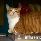 RUMMIKUB