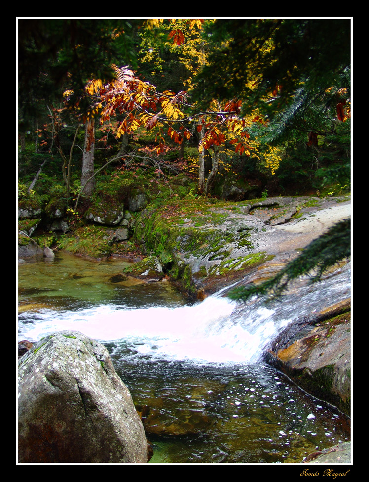 Rumores de Otoño