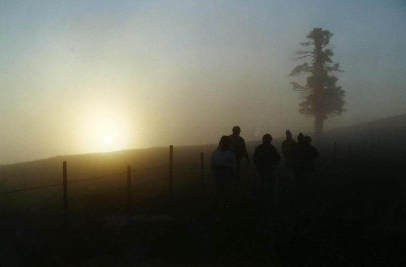 Rumplhöhe - im Nebel