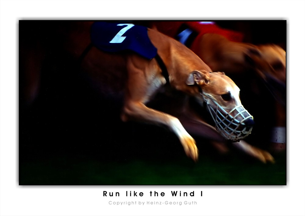 Run like the Wind 1 (reloaded)