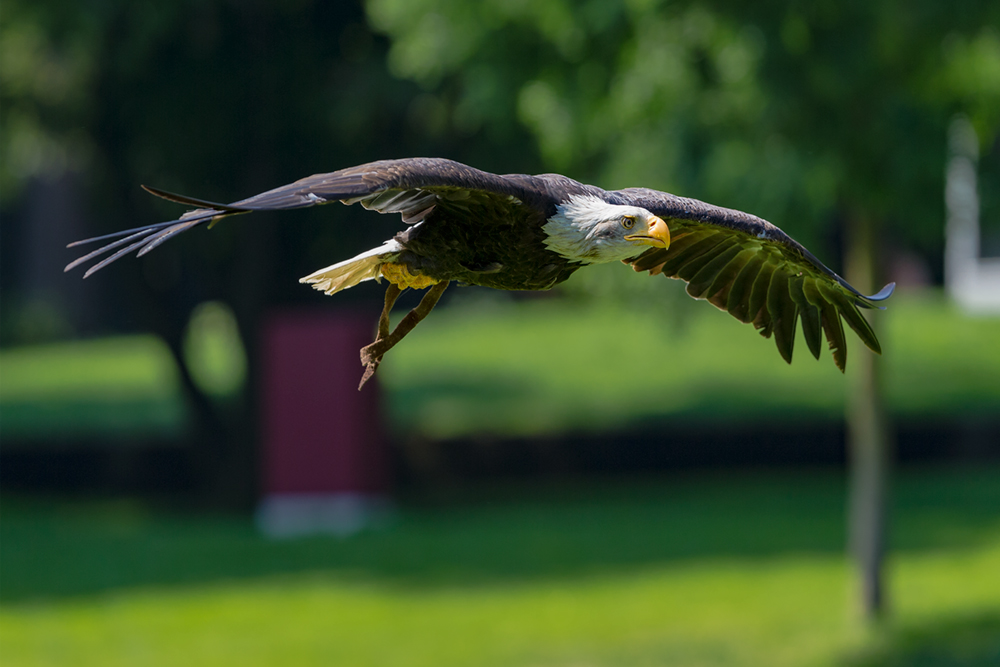 Rund Flug