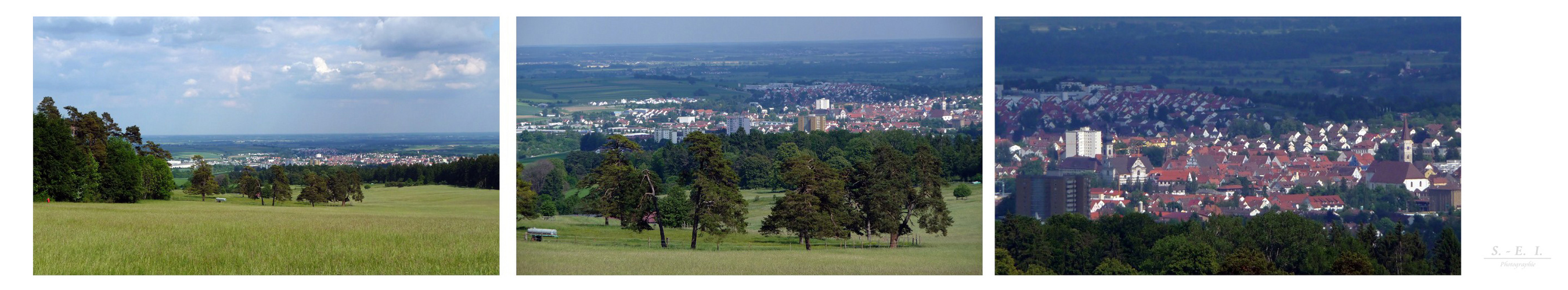 "Rund um Altsteußlingen 12"