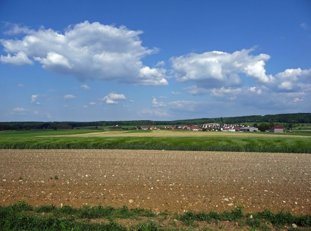 "Rund um Altsteußlingen 26 Serien-Ende"