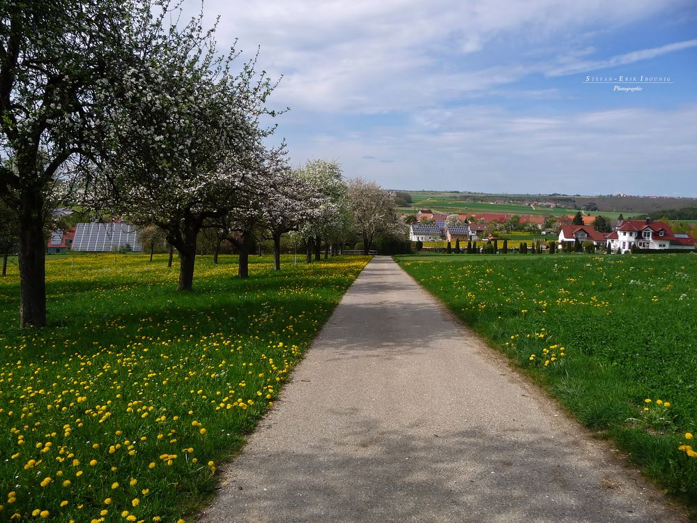 "Rund um Altsteußlingen 9"