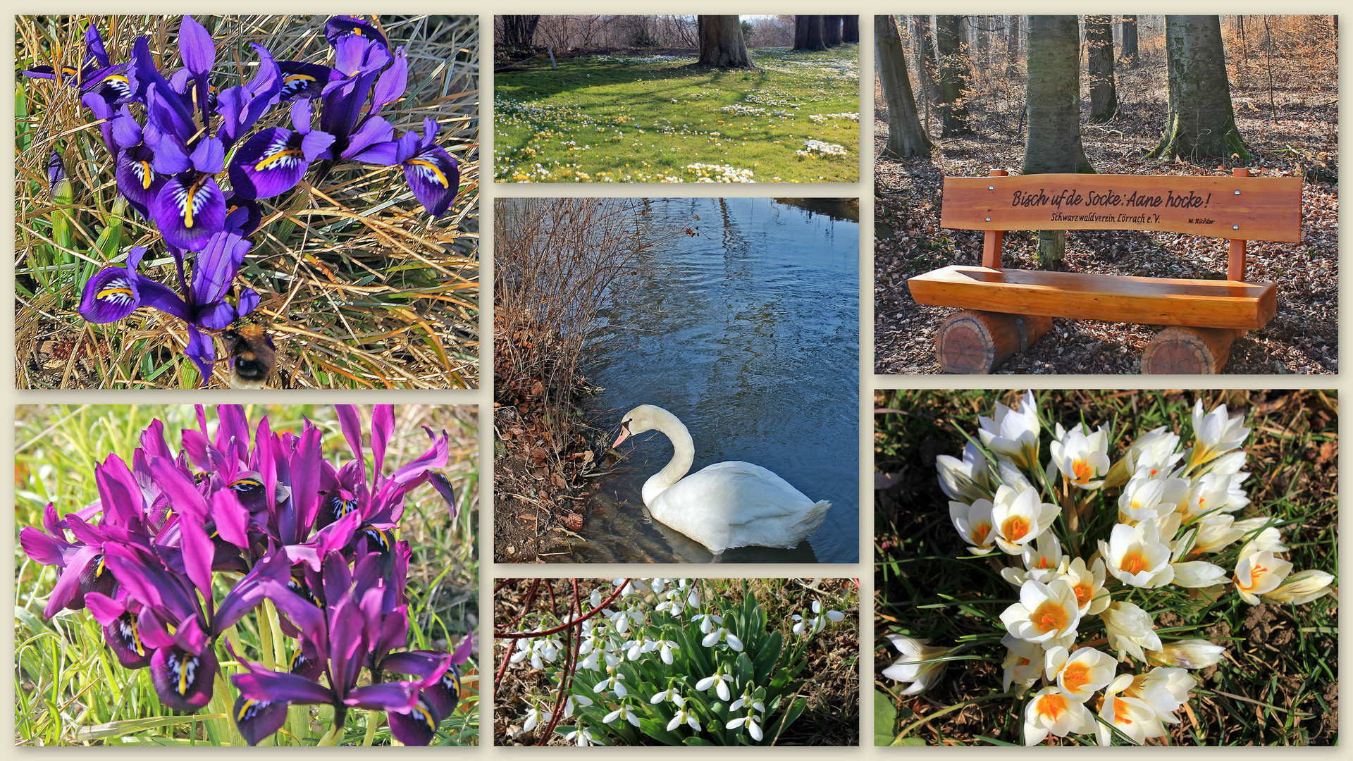 Rund um Basel: der Frühling ist da!