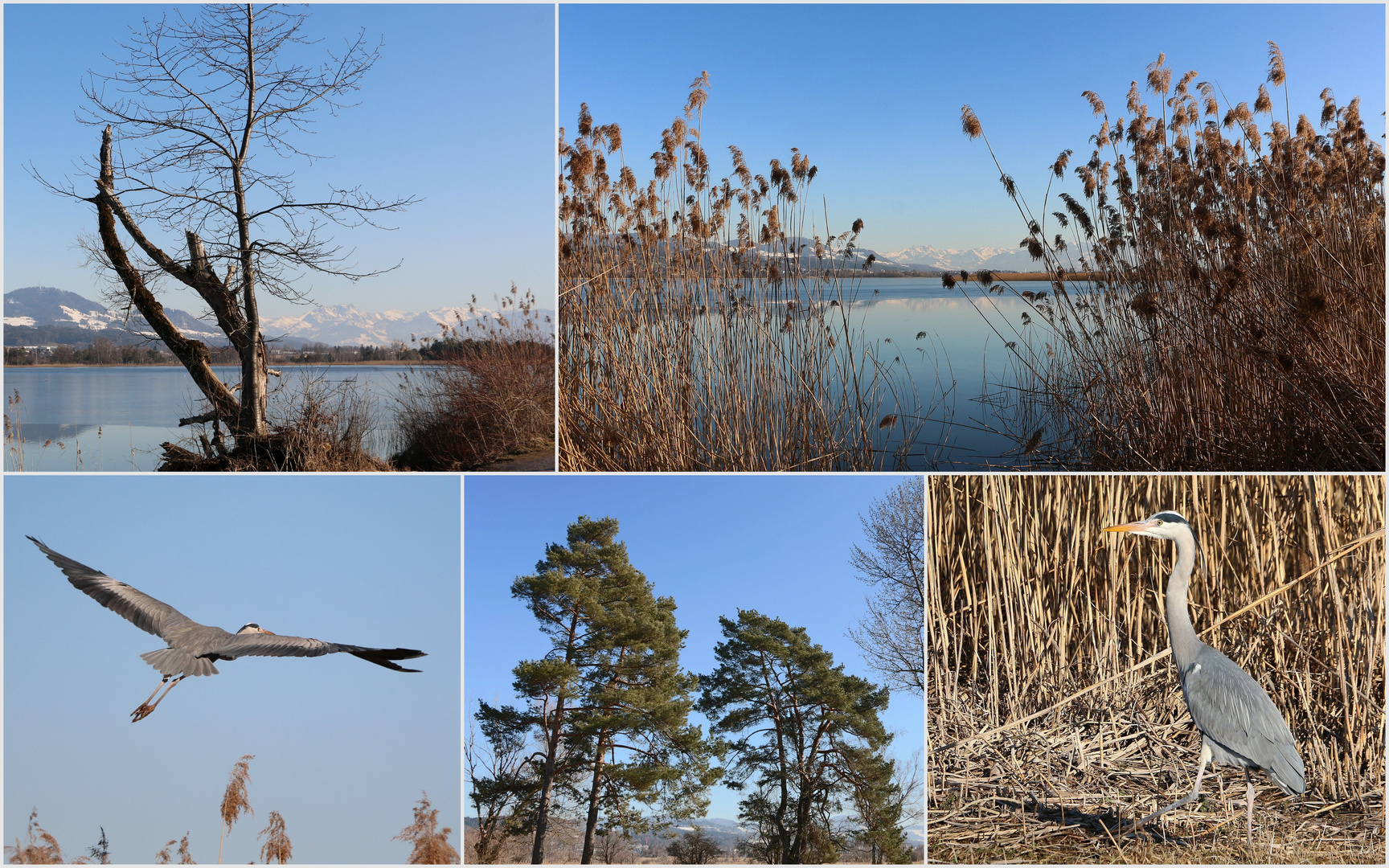 "Rund um dä Pfäffikersee"........