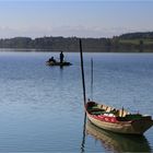 "Rund um de Pfäffikersee......"