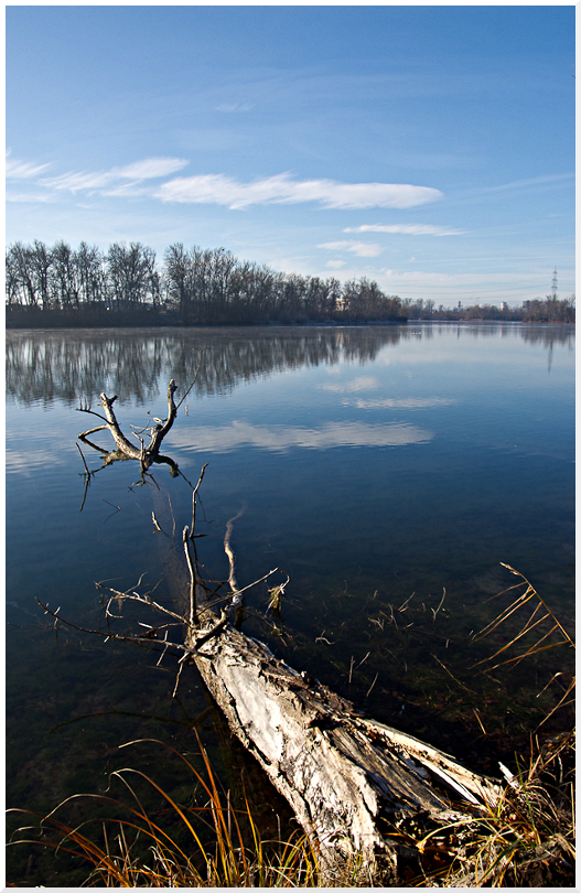 Rund um den Baggersee (5)