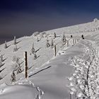 Rund um den Belchen 3