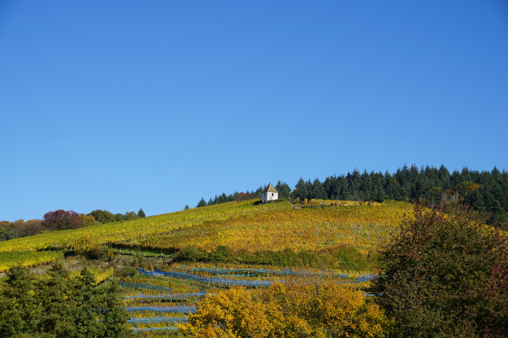 Rund um den Belchen 3