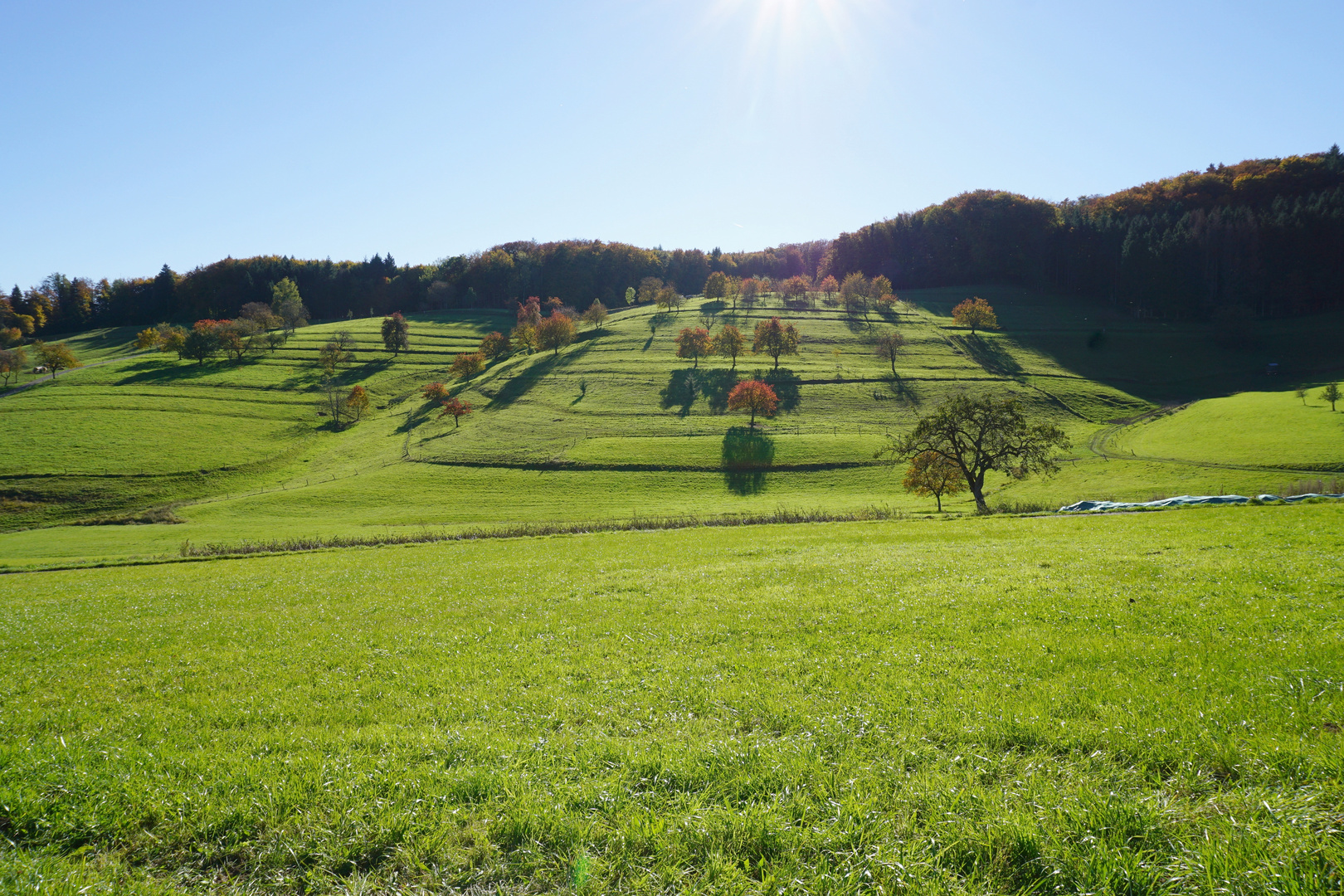 Rund um den Belchen 4