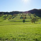 Rund um den Belchen 4