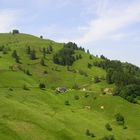 Rund um den Belchen im Schwarzwald