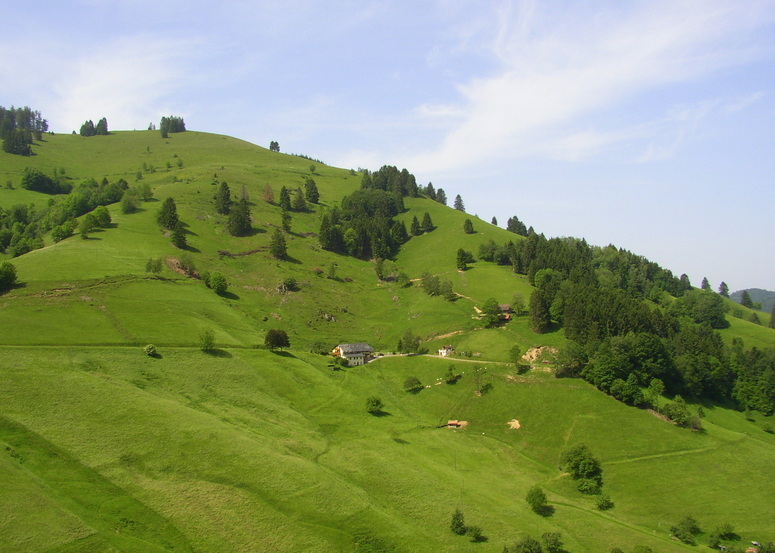 Rund um den Belchen im Schwarzwald