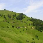 Rund um den Belchen im Schwarzwald