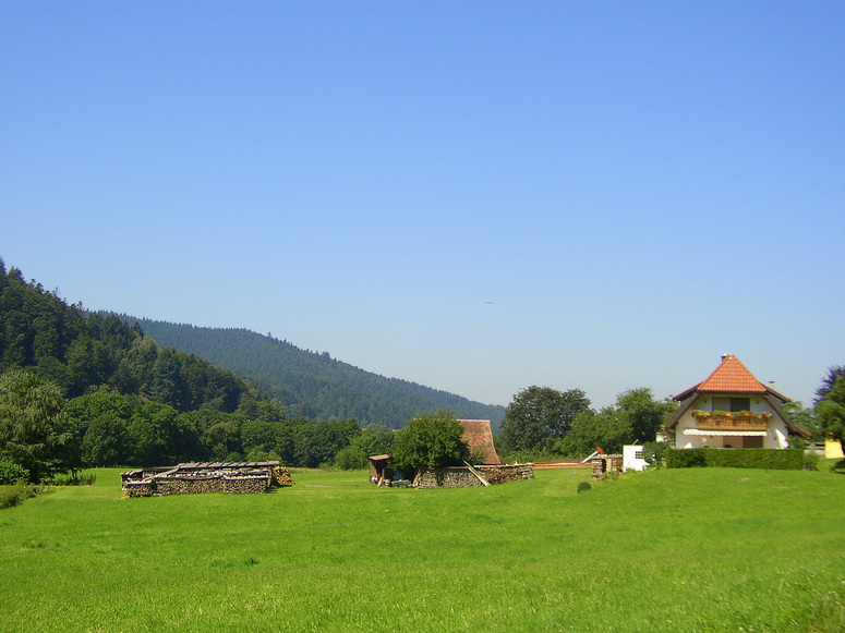 Rund um den Campingplatz im Münstertal