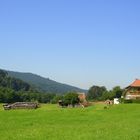 Rund um den Campingplatz im Münstertal