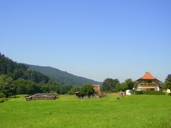 Rund um den Campingplatz im Münstertal