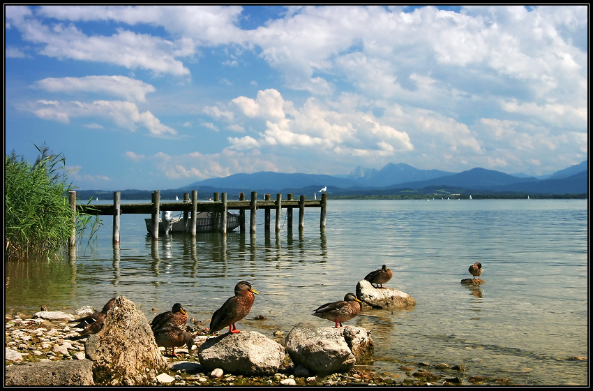 Rund um den Chiemsee #01