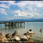 Rund um den Chiemsee #01