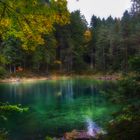 Rund um den Eibsee 