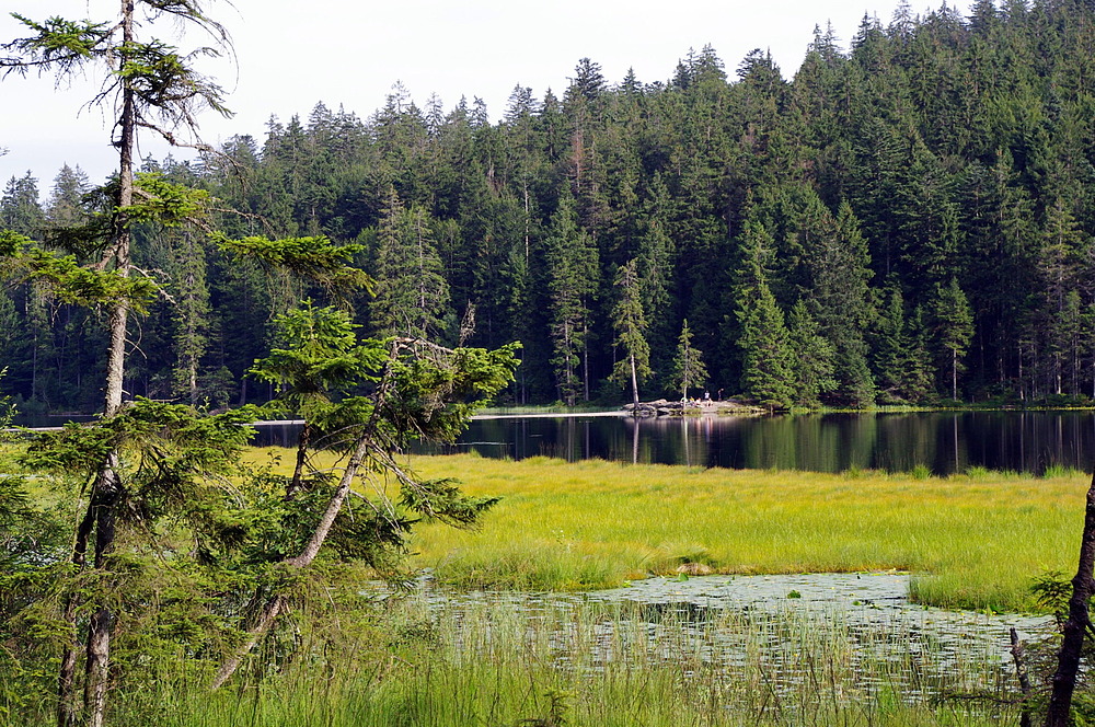 Rund um den Großen Arbersee Teil 2