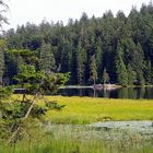 Rund um den Großen Arbersee Teil 2