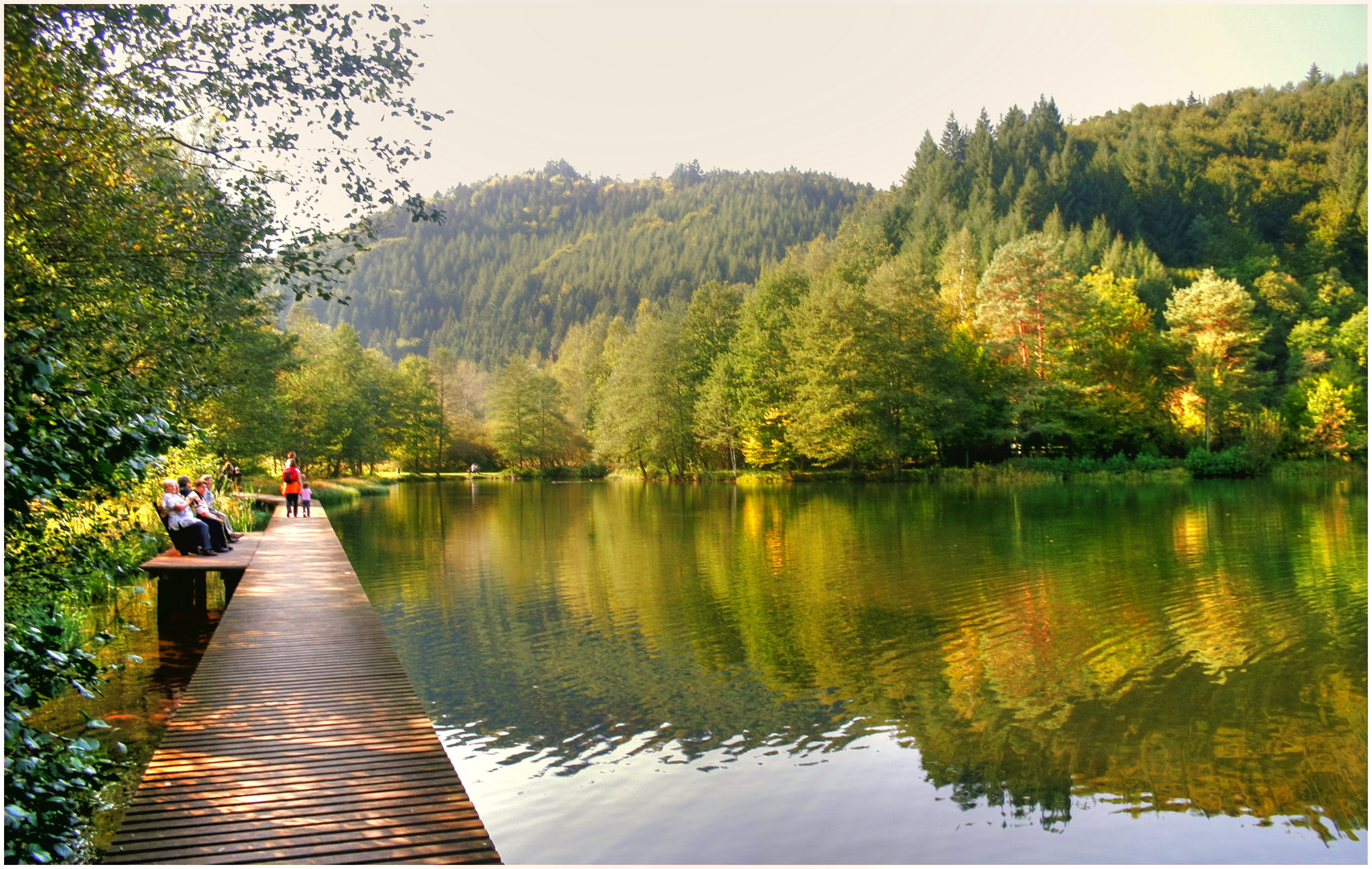 Rund um den Helmbachweiher