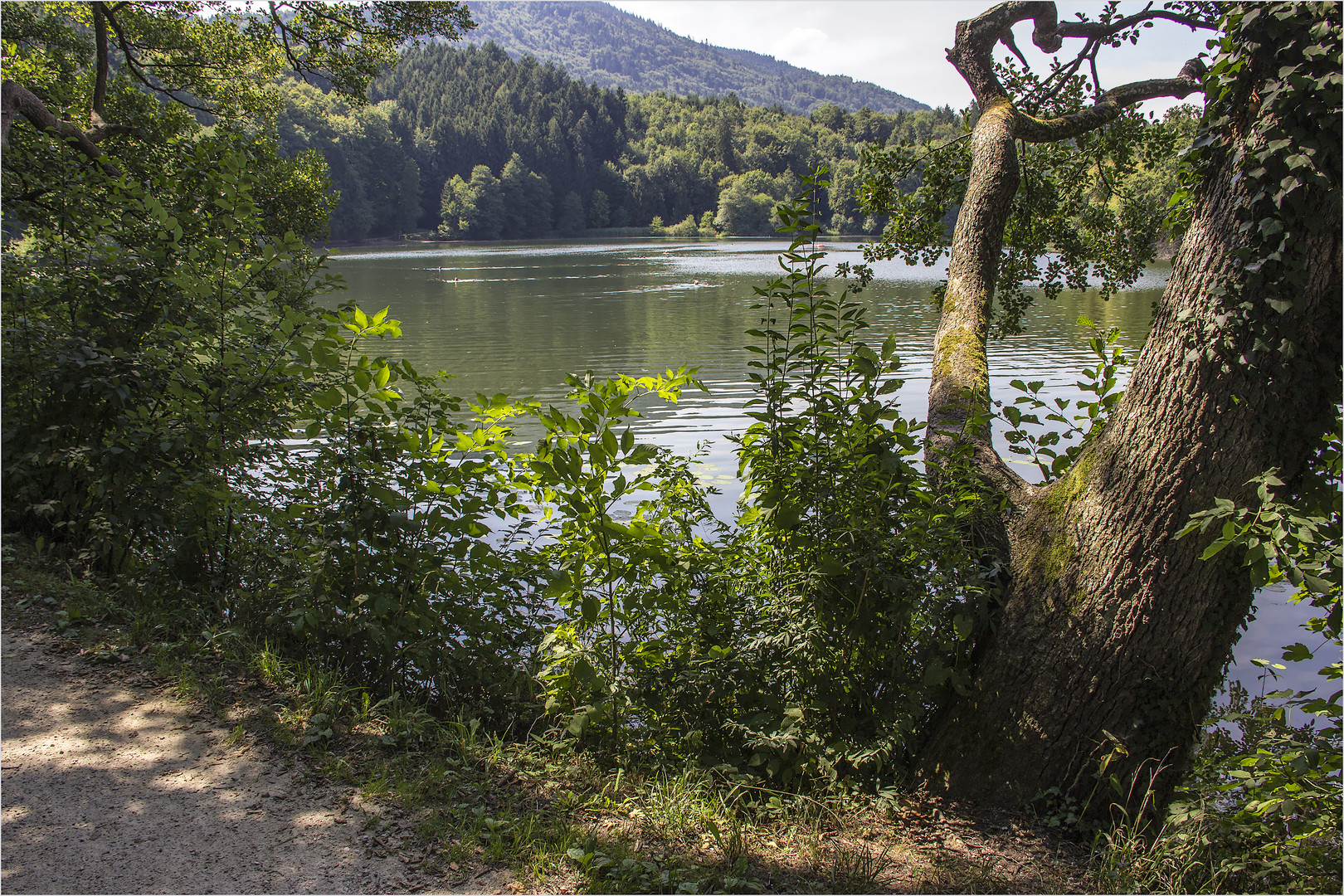 Rund um den Höglwörther See (3)