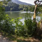 Rund um den Höglwörther See (3)