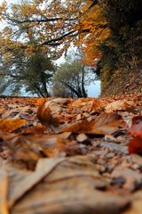 Rund um den Höglwörther See im Herbst