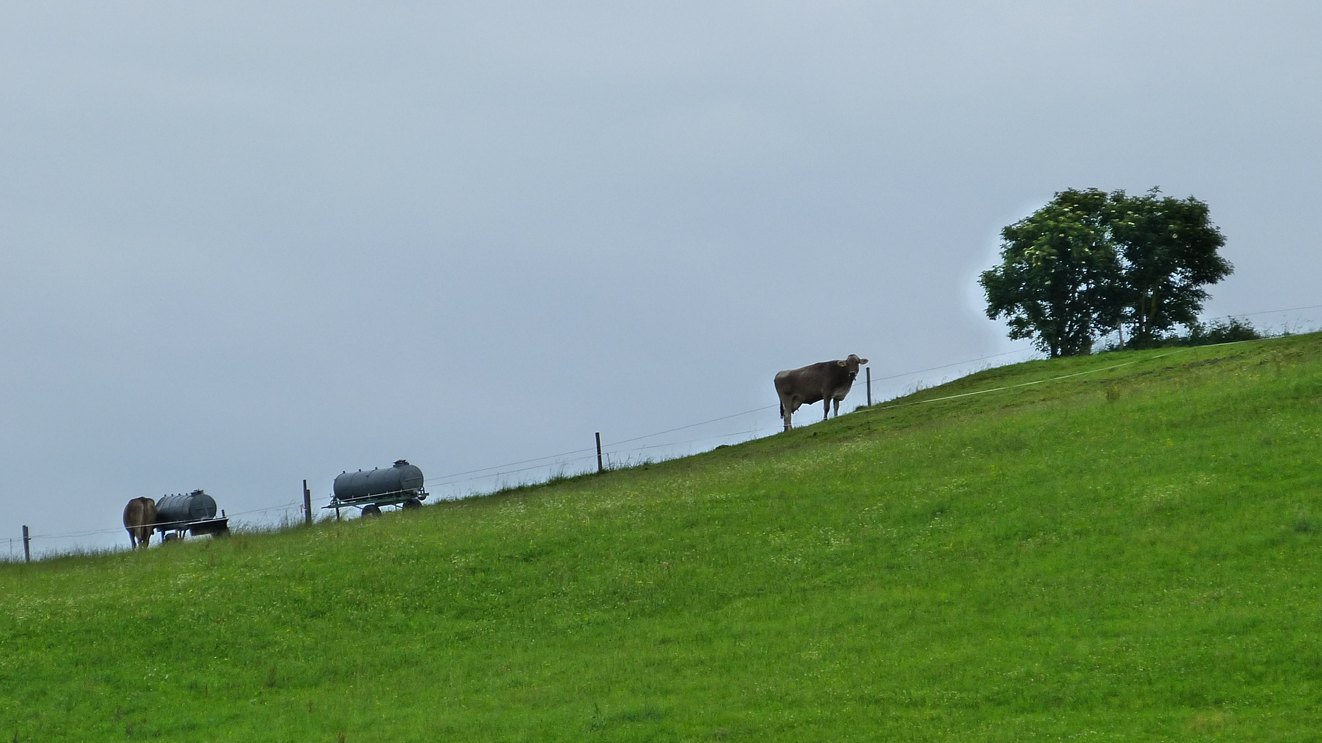 Rund um den Hopfensee.  