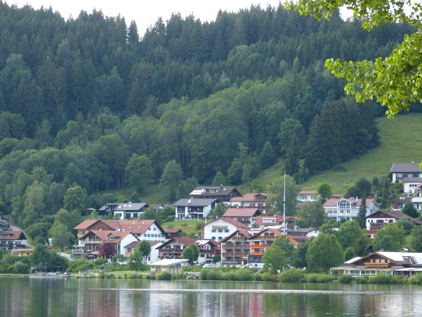 Rund um den Hopfensee.  