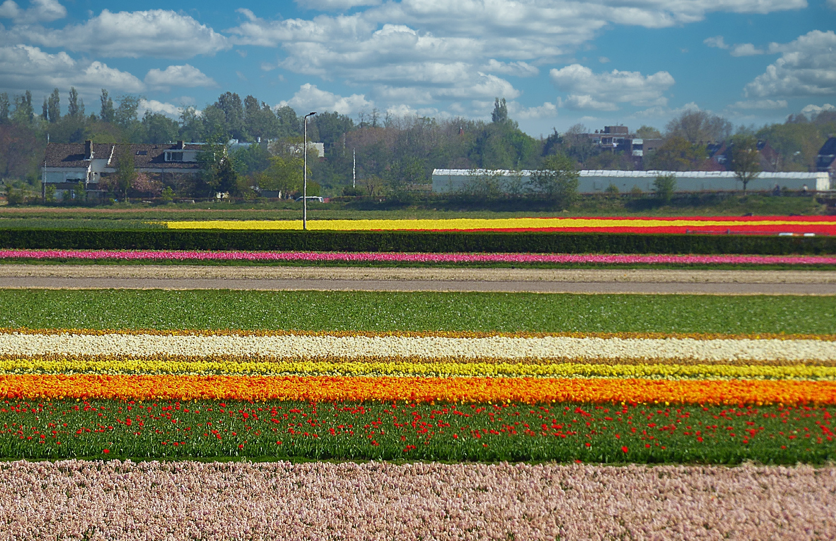 Rund um den Keukenhof . . .