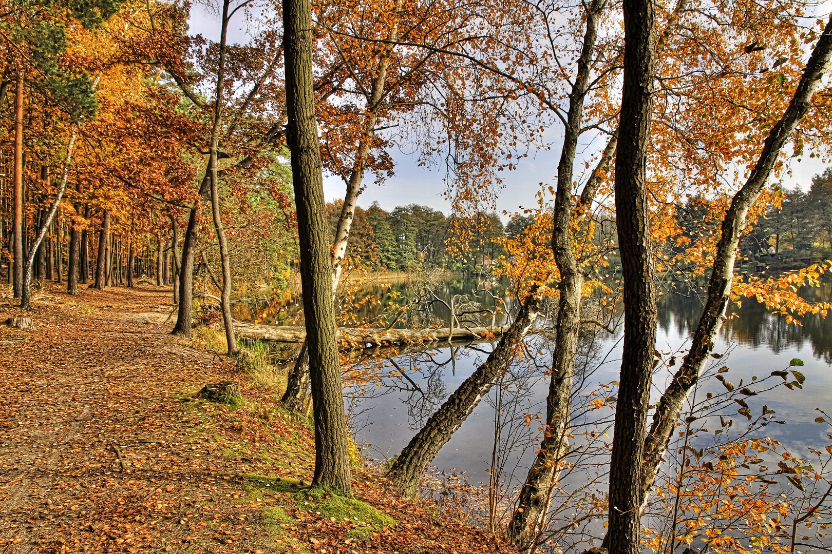 Rund um den kleinen Linewitzsee I