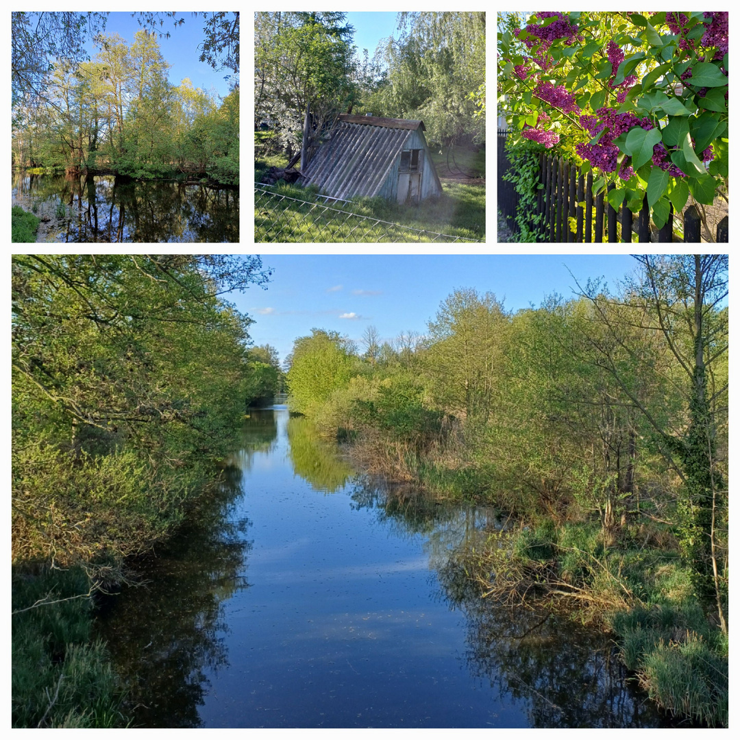 Rund um den Klostersee 