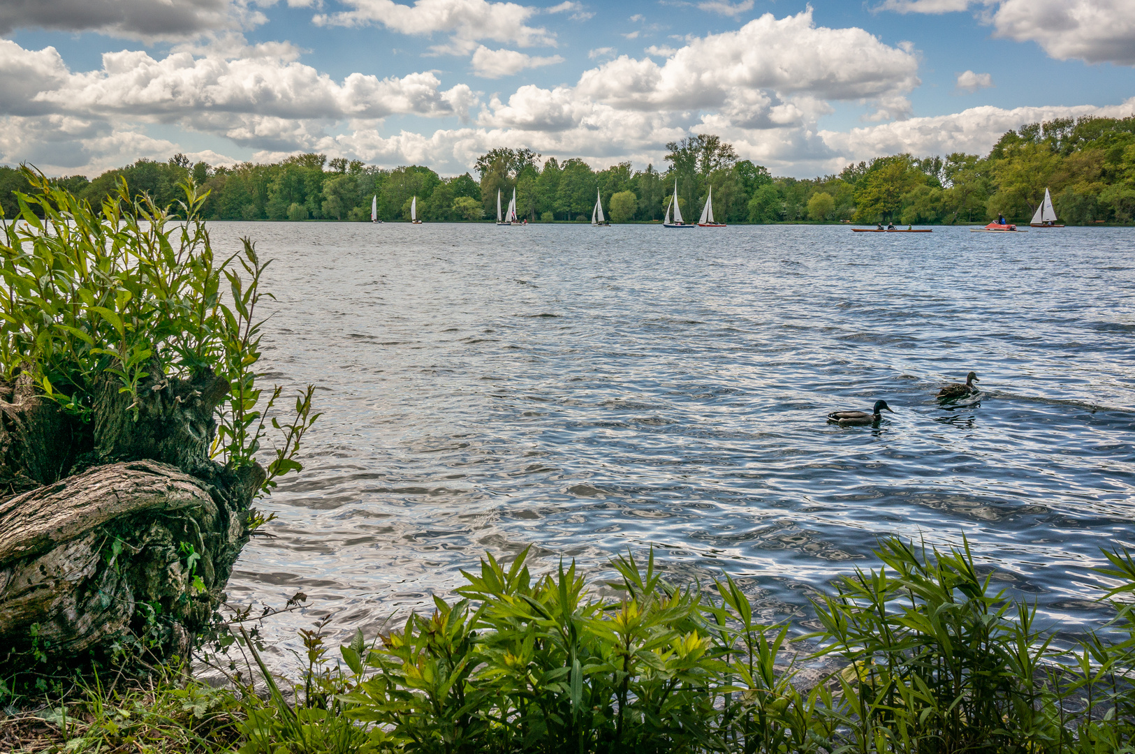 Rund um den Maschsee VIII - Hannover