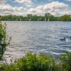 Rund um den Maschsee VIII - Hannover