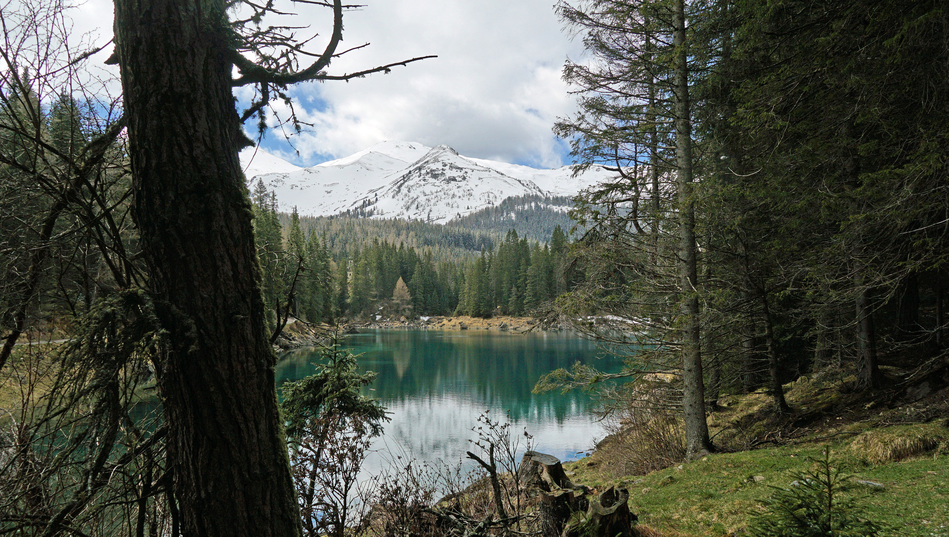 Rund um den Obernberger See