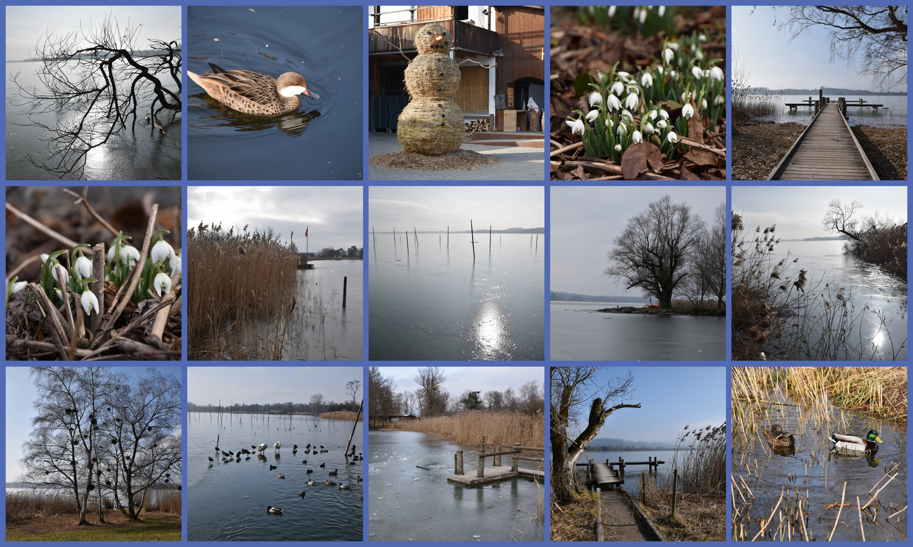 Rund um den Pfäffikersee