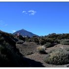 Rund um den Pico del Teide