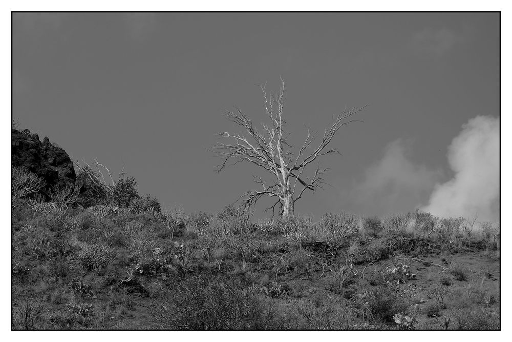 Rund um den Roque Nublo